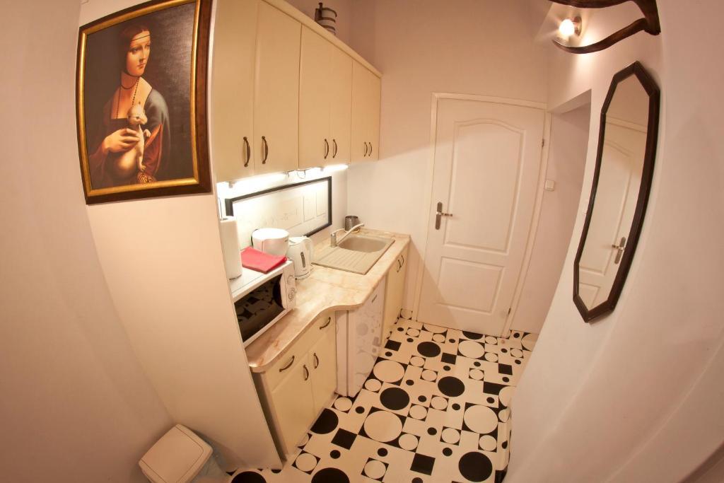 קרקוב Da Vinci Apartment מראה חיצוני תמונה